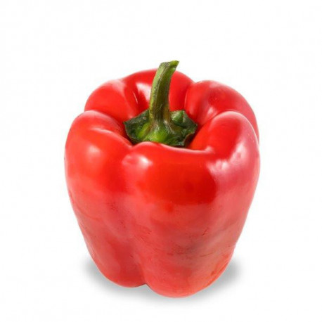 Papryka czerwona kg