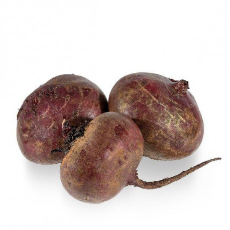 Buraki kg