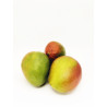 Mango szt.