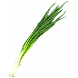 Szczypior szt